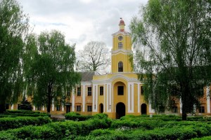 Замок Радзивіллів, Олика